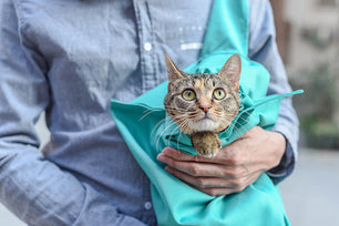 Perfect Cat Carrier Pouch Bag